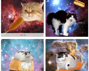 Cartoon cats floating through space on OMG Cats in Space website